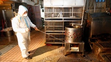 The HN virus appears to have been brought under control in China largely due to restrictions at bird markets, but caused some $. billion in losses to the economy, U.N. experts said.